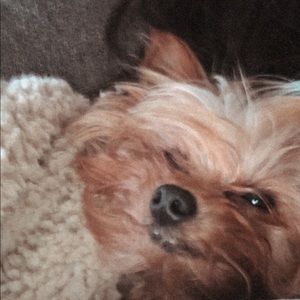 Meet your Posher, Ava